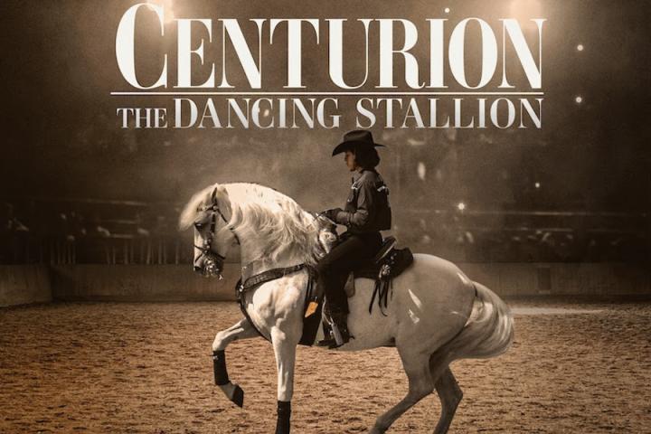 مشاهدة فيلم Centurion The Dancing Stallion 2023 مترجم ماي سيما
