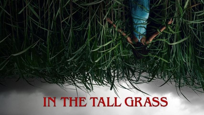 مشاهدة فيلم In the Tall Grass 2019 مترجم ماي سيما