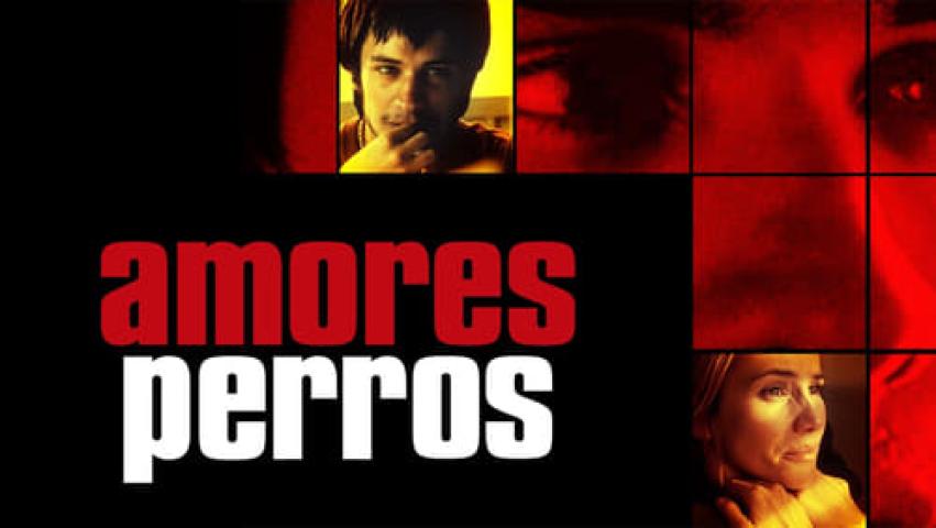 مشاهدة فيلم Amores Perros 2000 مترجم ماي سيما